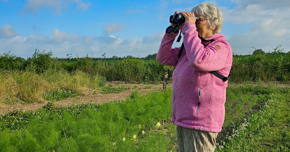 Bioblitz in voedselbos Geldermalsen brengt natuur in kaart