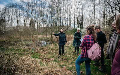 Na twaalf jaar einde voor voedselbos aan Elburglaan: gemeente Eindhoven wil meedenken over nieuwe lo