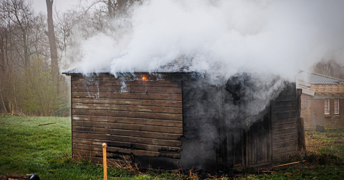 Brand verwoest schuurtje in Sint-Michielsgestel: politie vermoedt brandstichting
