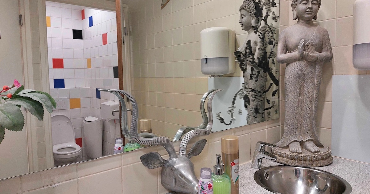 Hoge nood? Met deze handige app vind je openbare toiletten in Eindhoven