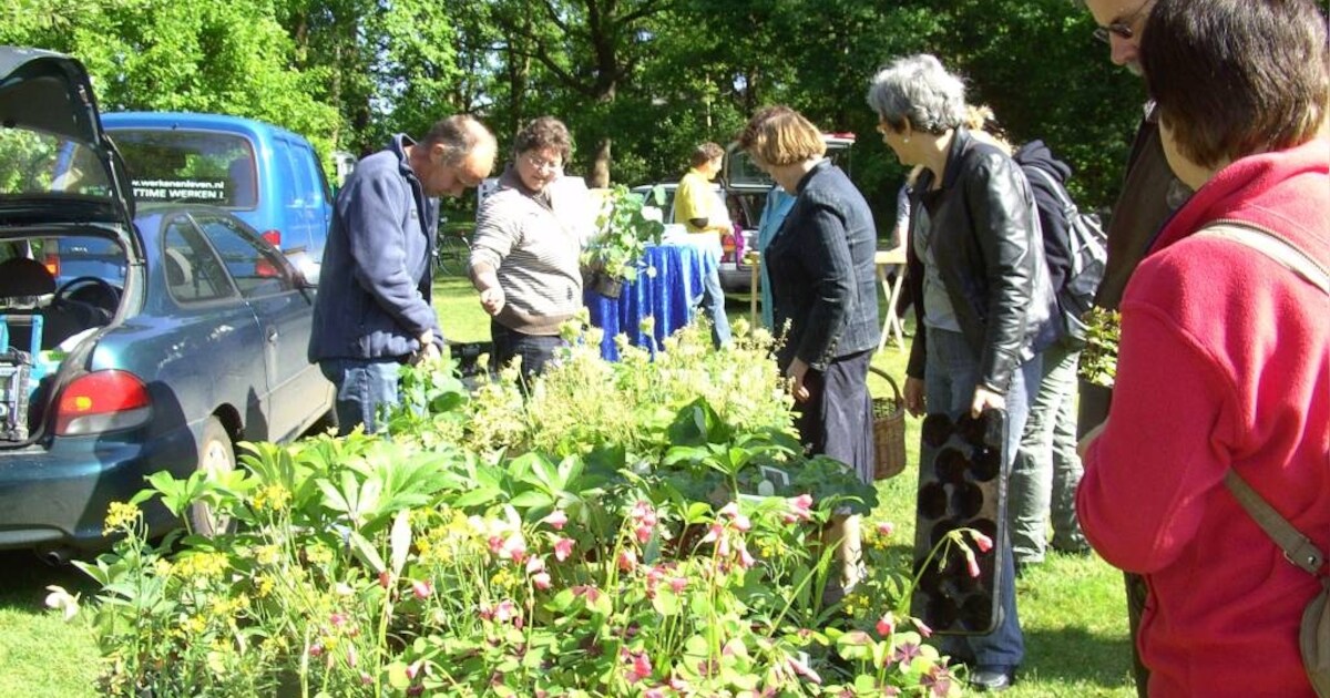 Stekjes- en plantenbeurs in Middelrode