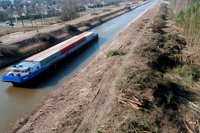 Na overtreden wet en waarschuwing minister worden er op vier plekken in Tilburg versneld 346 bomen herplant
