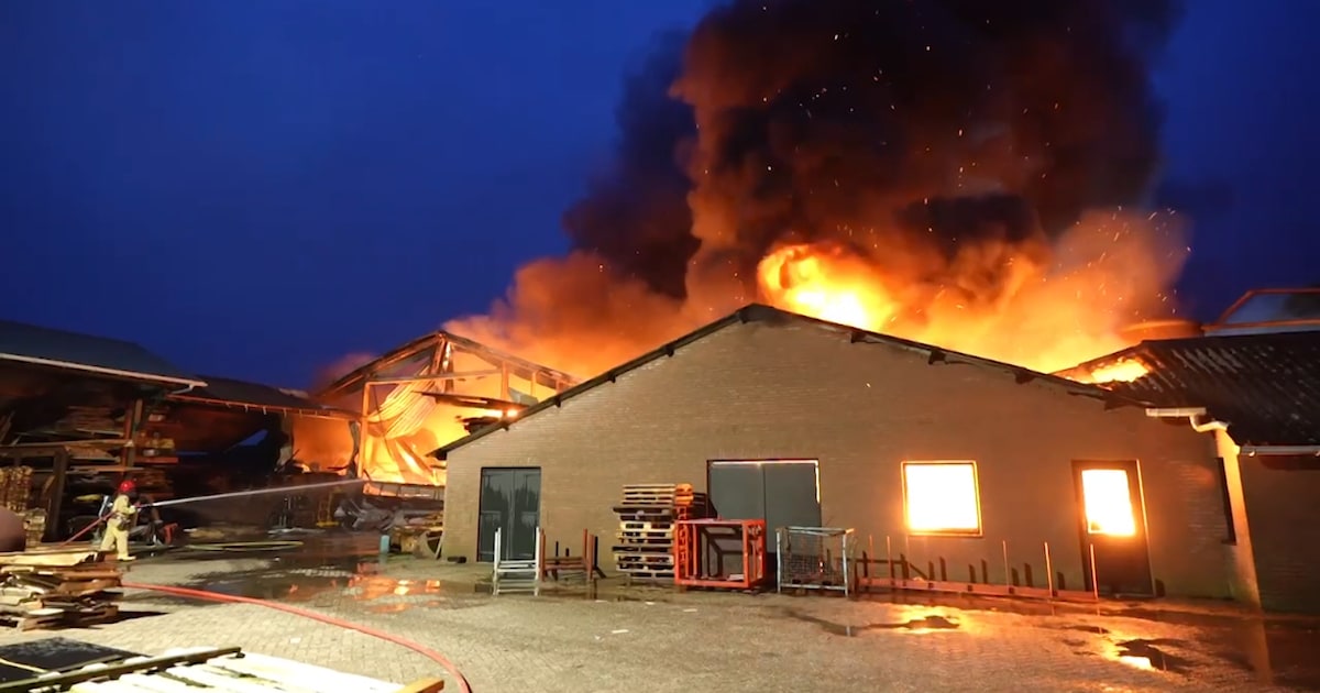 Meeste stalbranden in 2025 in Brabant: bijna 10.000 dieren omgekomen