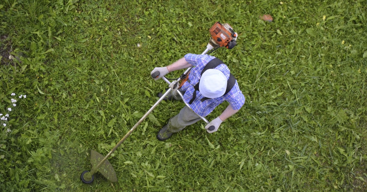 Gemeente Vught werkt met aangepast maaibeheer: niet elk grasveld even vaak gemaaid