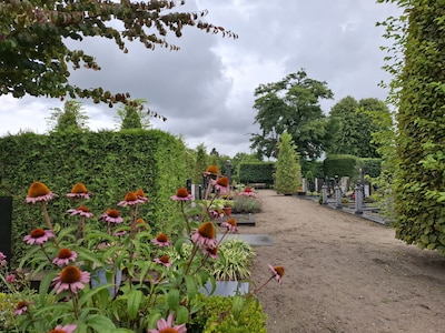 Grafroof zorgt voor verdriet in Hilvarenbeek: ‘Grote betekenis voor nabestaanden’