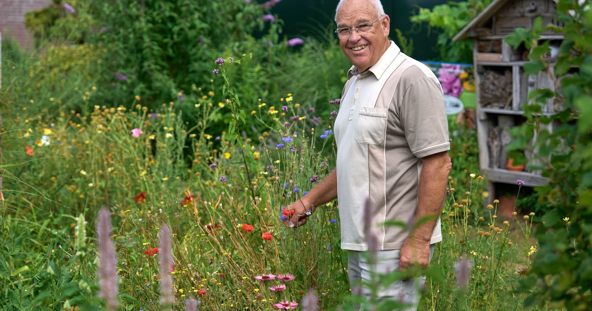 Pionier Christ (69) was zijn tijd ver vooruit met zijn manier van groente en fruit kweken: ‘Dit smaa