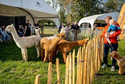 Waar dierenliefde begint: op Animal Event draait het niet alleen om kijken