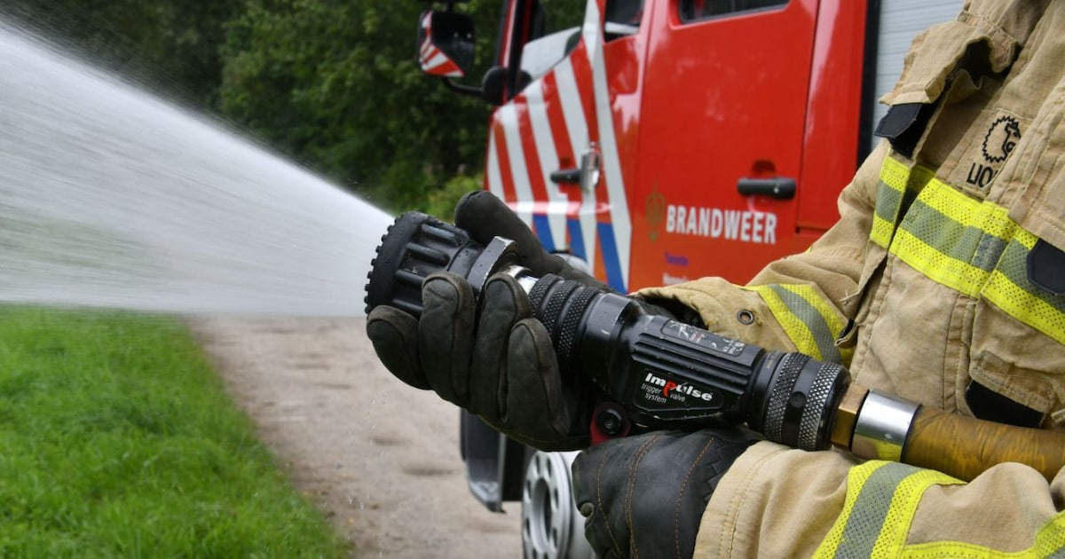 Brand in bosgebied langs Hogesteenweg in Langenboom
