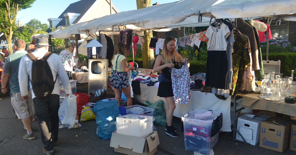 Koopjesjagers overspoelen Zomermarkt Overlangel | Oss | BD.nl