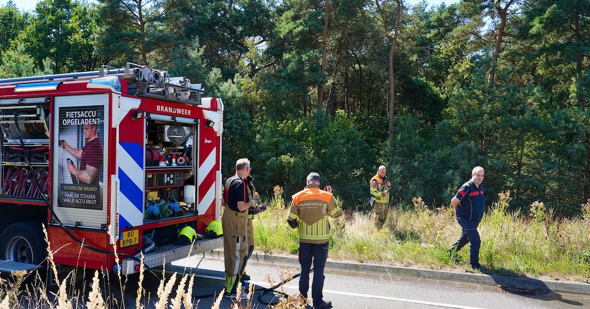 Kleine bosbrand in buitengebied Tilburg