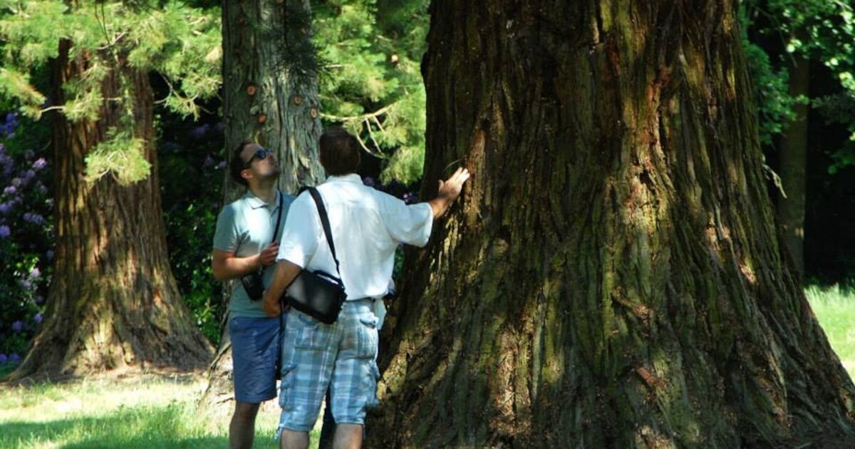 Natuurbegraafplaats in Esbeek gunt dichters allerlaatste rustplaats