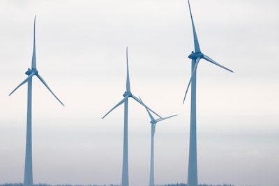 Geen nieuwe windmolens en geen grootschalig azc: dit zijn de plannen voor Meierijstad