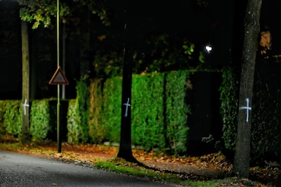 Kritiek op plan voor kap 96 bomen in Oisterwijk: ‘Argumenten gezocht om oud plan door te voeren’