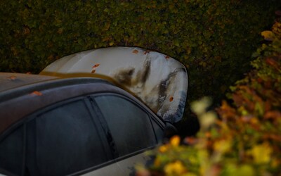 Politie Kerkdriel onderzoekt autobrand: ‘We snappen dat mensen aan wraak denken’