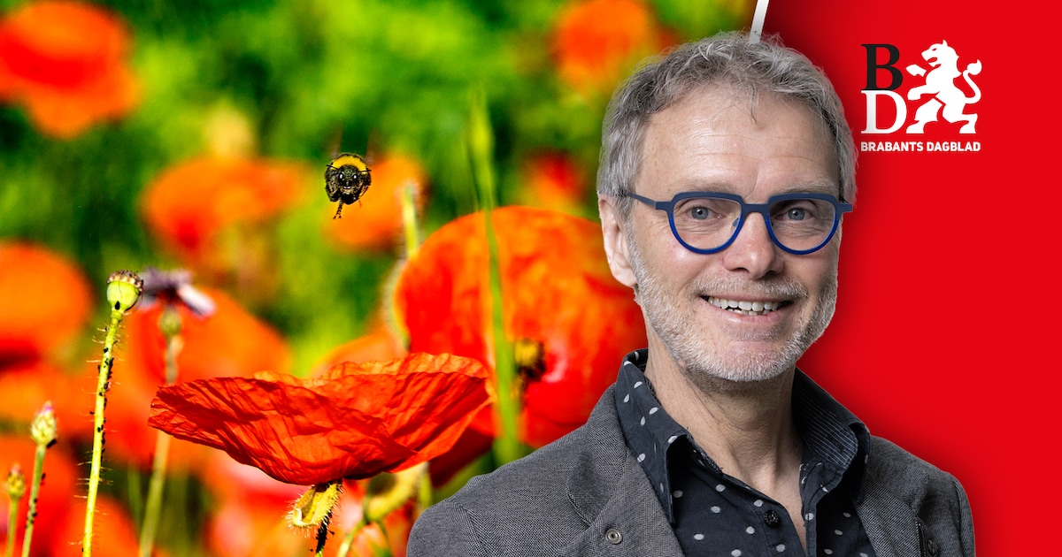 Flower power in vesting Heusden geeft hoop in bange zomerdagen