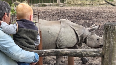 Neushoorndag brengt activiteiten rond neushoorns naar Eindhoven Zoo in Nuenen