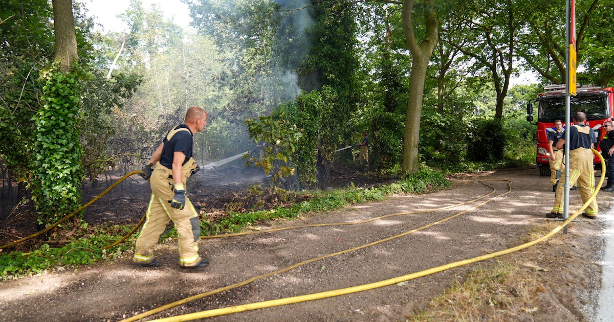 Brandweer rukt uit naar bosbrand in Vlierden | Foto