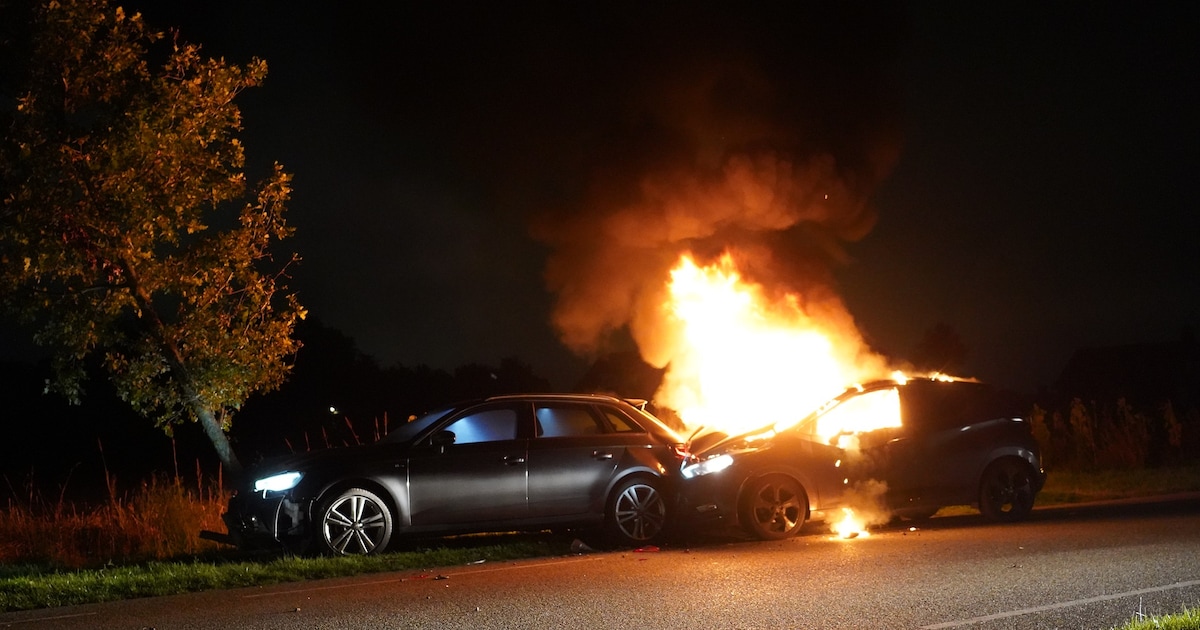 Onoplettendheid leidt tot botsing op de Slotlaan: auto tegen boom.
