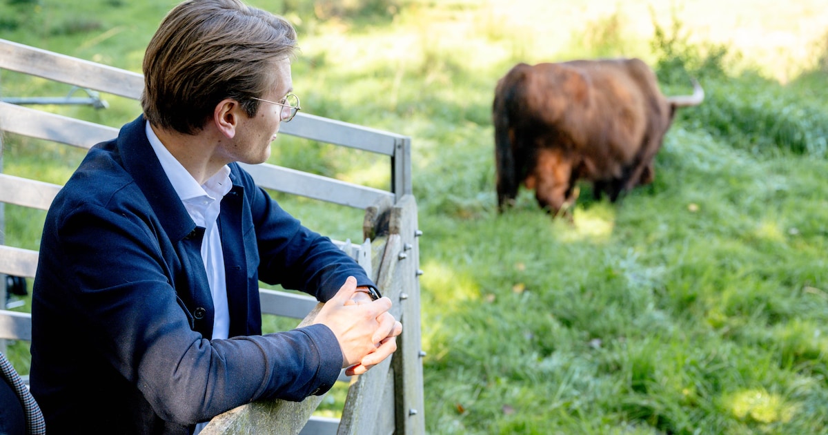 Minister laat stier los en zegt 123 miljoen euro toe voor Brainiport ...