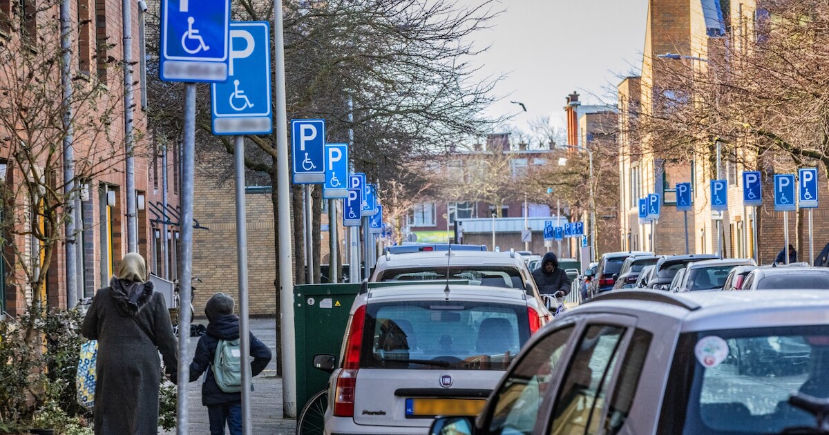 42 invalidenparkeerplaatsen in een straat: ‘Dit is niet normaal’