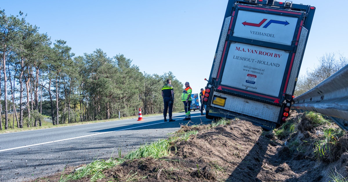 LIVE Files in Brabant | Vrachtwagen met varkens rijdt tegen vangrail op de A16 bij Breda • File van 