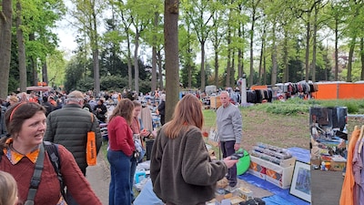 LIVE Koningsdag 2026 | Zo vieren ze Koningsdag in de regio