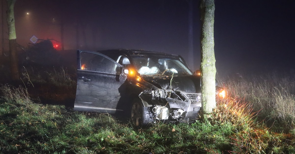 Bestuurder (18) aangehouden na botsing tegen boom in Zeeland