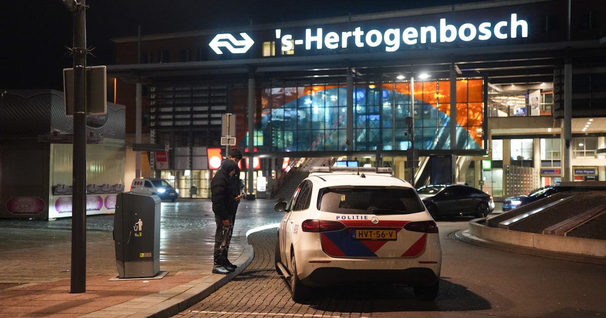 Jongen (16) loopt steekwonden op bij beroving treinstation Den Bosch, verdachte gevlucht