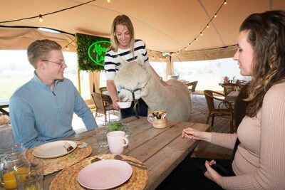 Angelique van Alpaca Country zat in het nauw met twee safaritenten, maar gelooft er nu weer in