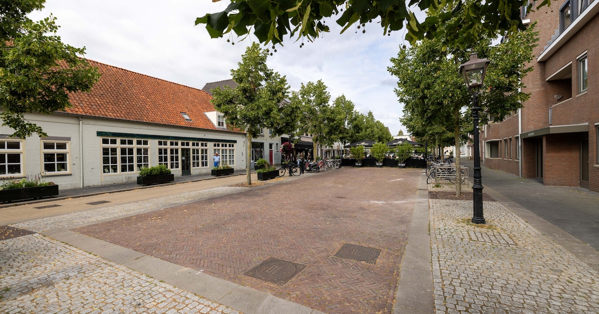 Vughtse (89) vreest opnieuw ‘gevangen’ te raken in eigen huis door fietsen voor haar deur