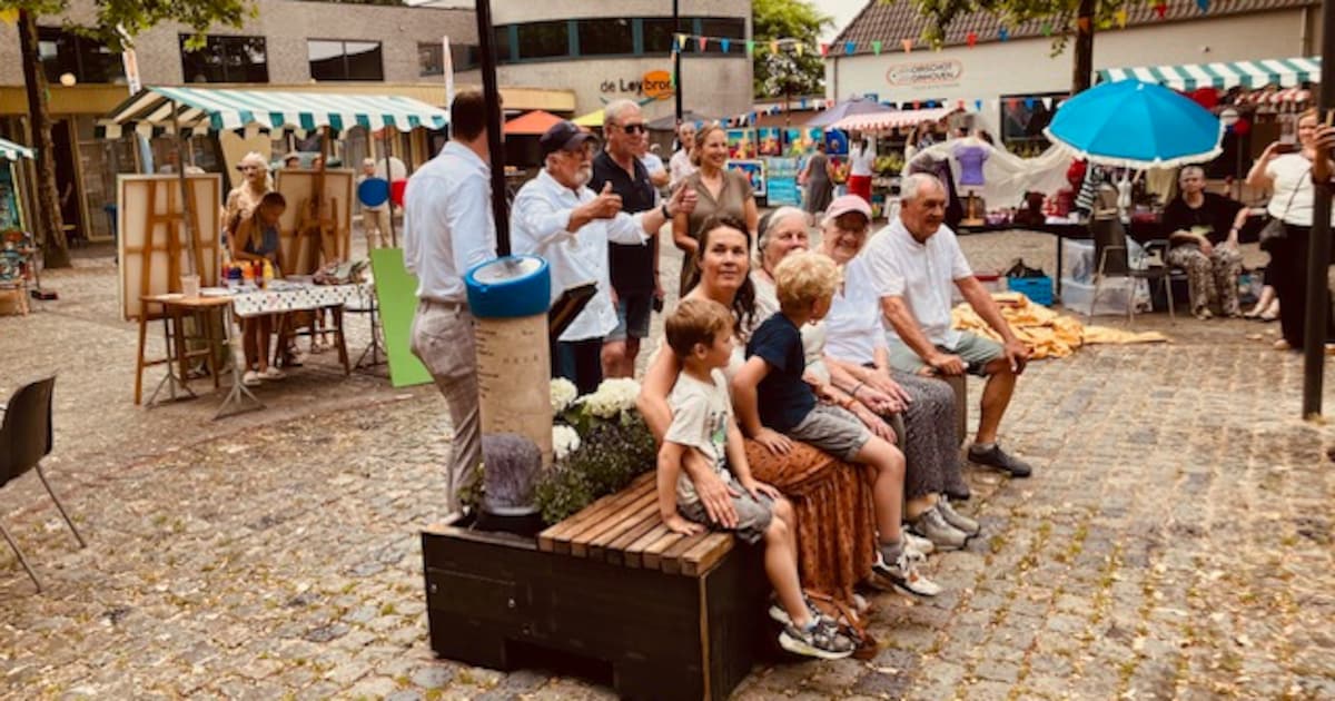 Rielse zwerfkei komt terug naar het dorp, maar niet meer op de plek waar drie ongelukken zijn gebeurd.