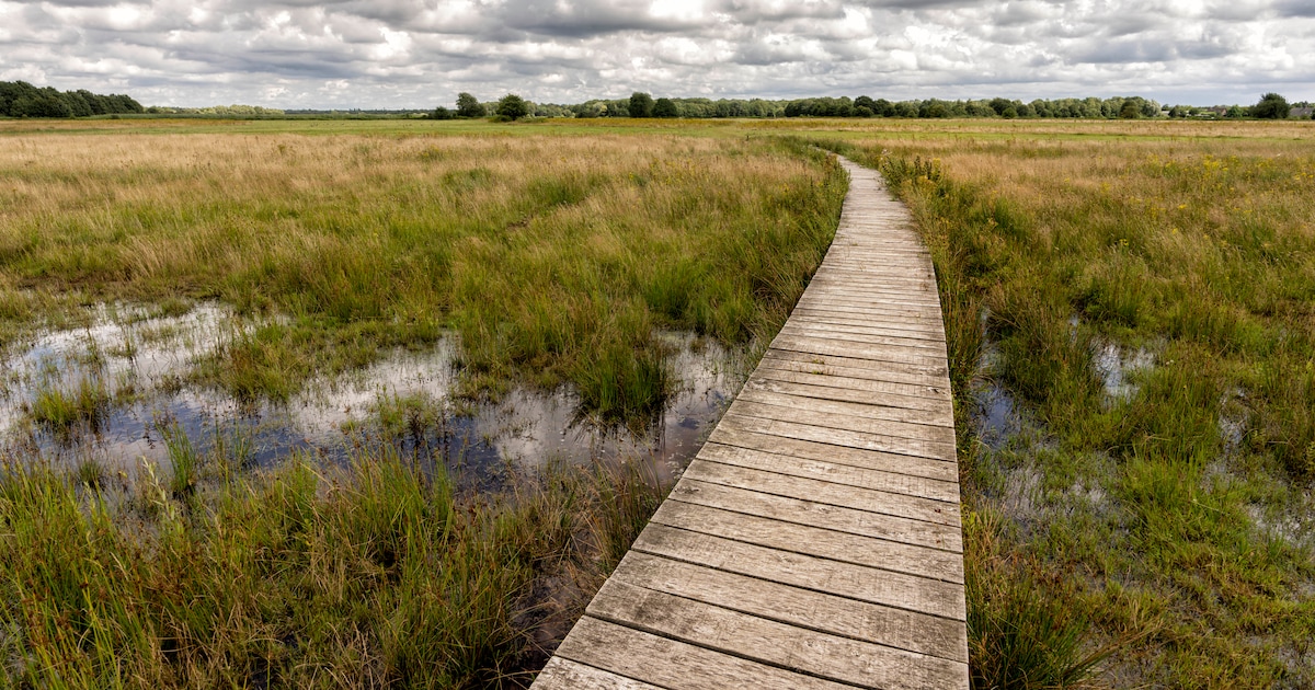 IVN Vught houdt vogeltrekexcursie bij Hengstven in Loonse en Drunense Duinen