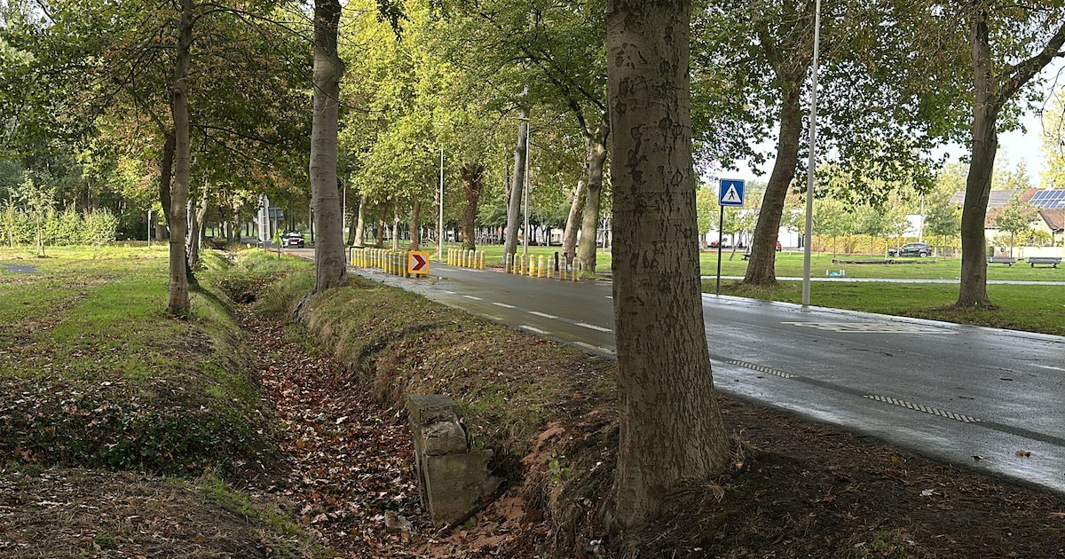 Drie jongeren overleden bij ongeval in België op terugweg van bruiloft.