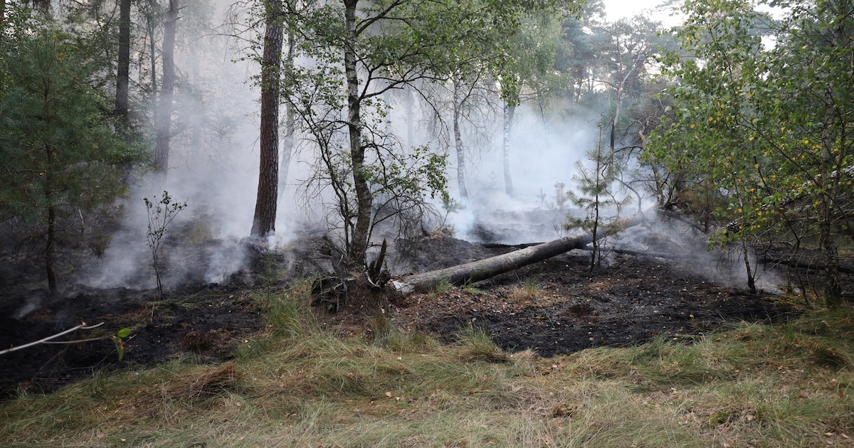 Grote brand in natuurgebied Herperduin onder controle, rookoverlast neemt af