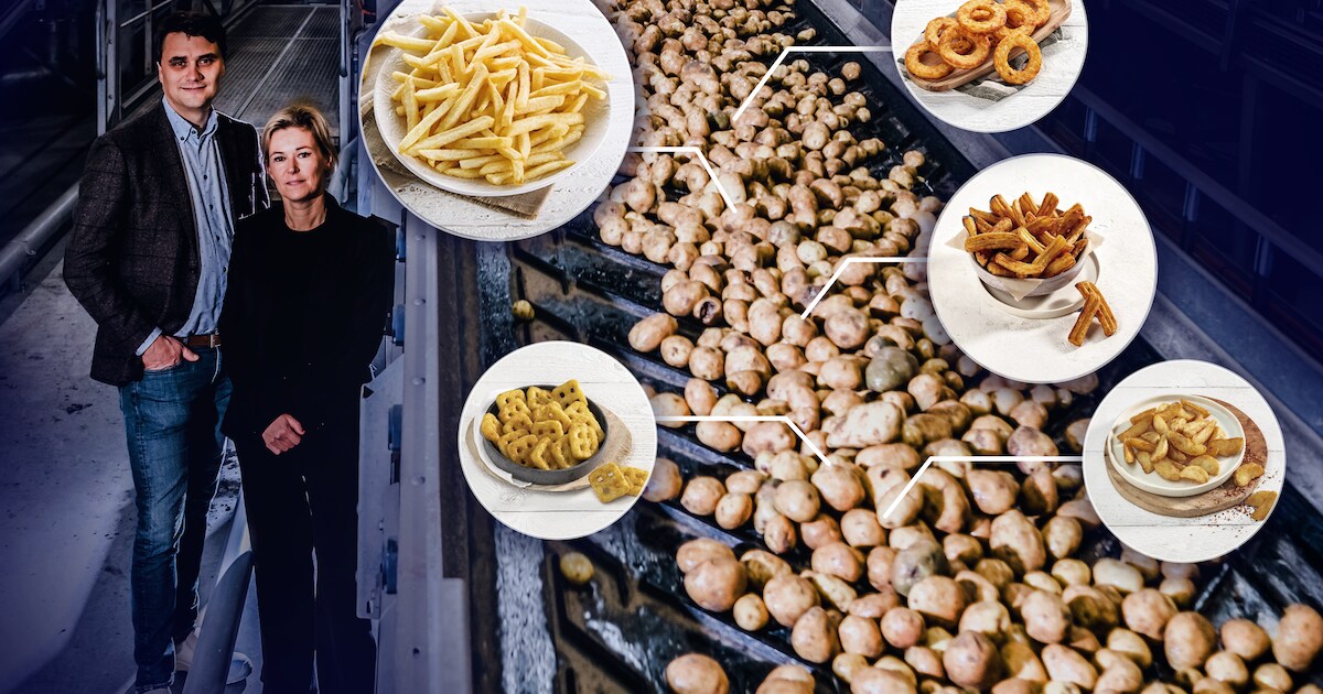 Het verhaal achter het Vlaamse miljardenbedrijf dat frietjes maakt voor ...