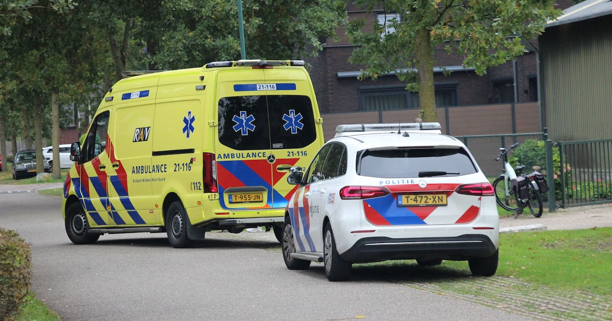 Fietsster gewond door botsing met auto in Berghem.