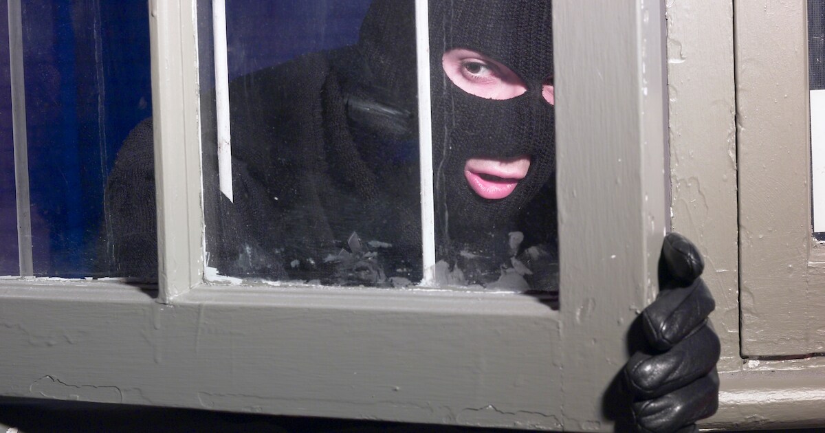 Inbreker aangehouden in Opijnen na tip buurtbewoner