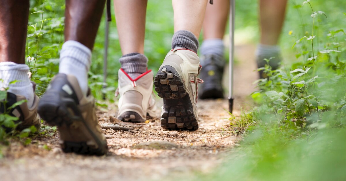 Zomerwandeling met de Grenslopers in Luyksgestel | Brabant | BD.nl