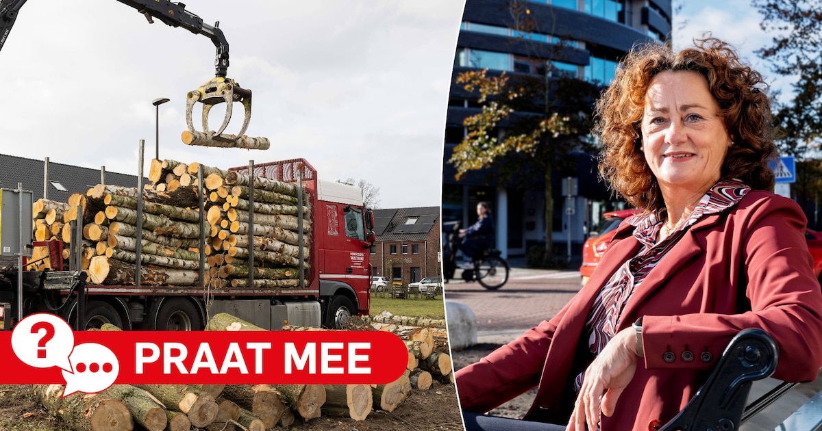 Moet ‘houthakkersdorp’ Vught meer doen om zijn bomen te beschermen?