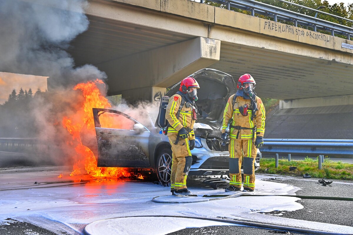 laatste nieuws maarheeze