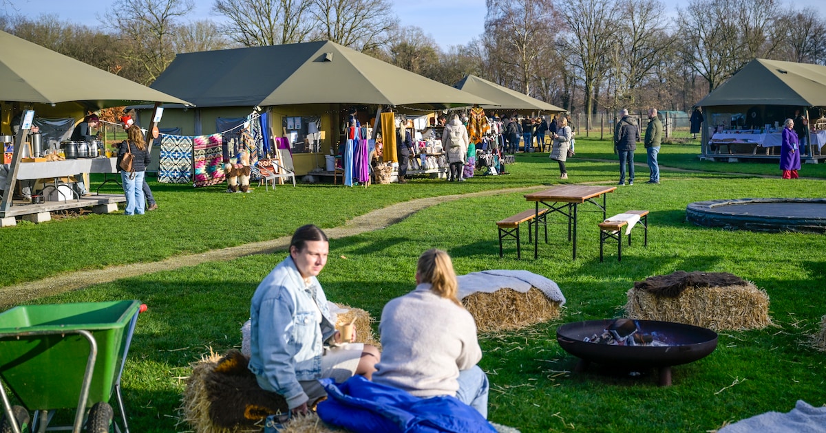 De grote charme van kleine kerstmarkten: ‘De alpaca’s trekken veel bekijks’