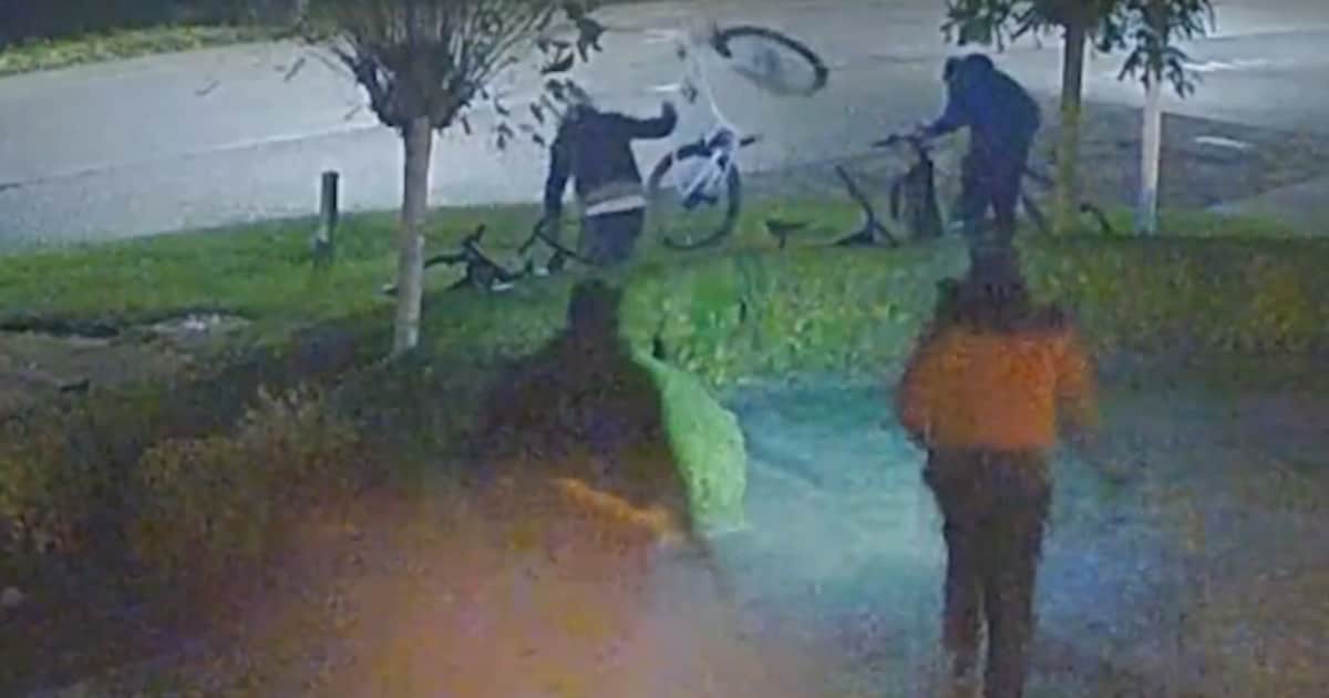 Roemenen stalen dure fietsen ter waarde van 38.000 euro in Goirle, maar komen met opmerkelijke verkl