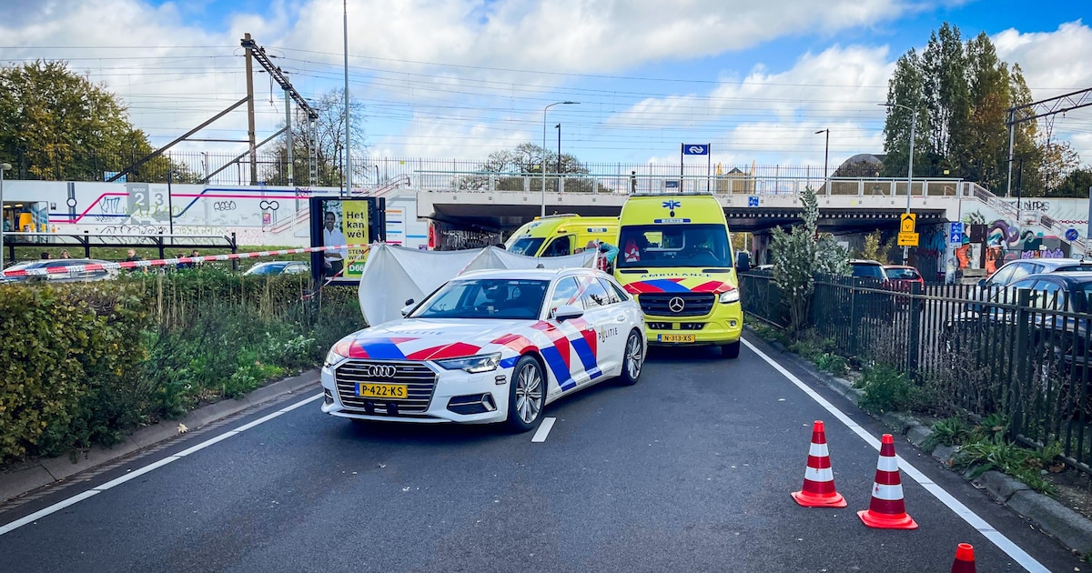 Vrouw overleden bij aanrijding met auto op Beukenlaan in Eindhoven.