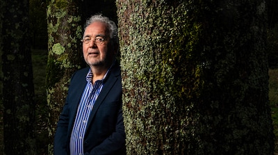 Dissidenten winnen in strijd om de senaatsfractie van de Partij voor de Dieren