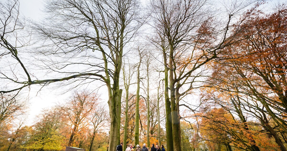Lobke Meekes zoekt voor Assisië in Biezenmortel bomen die een verhaal vertellen