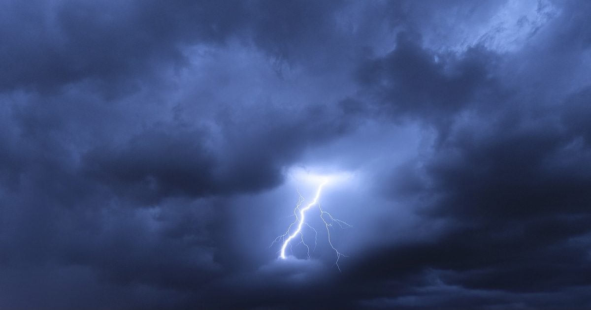 Koeien voelen weersveranderingen aankomen