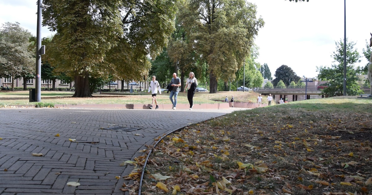 Nog even genieten: dit doe je in het laatste weekend van de herfstvakantie in Den Bosch