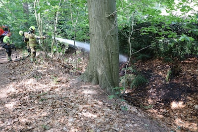 Buurtbewoners grijpen meteen in bij brand in bos bij Kaatsheuvel, brandweer maakt klus af
