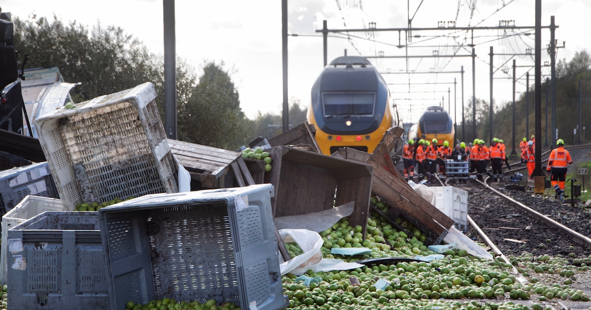 ProRail wil kosten treinongeluk Meteren verhalen op chauffeur van vrachtwagen vol peren.