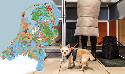 Alle stembureaus op een rijtje: zo ziet een typische PVV- of D66-wijk eruit, en hier kreeg de SGP 80 procent